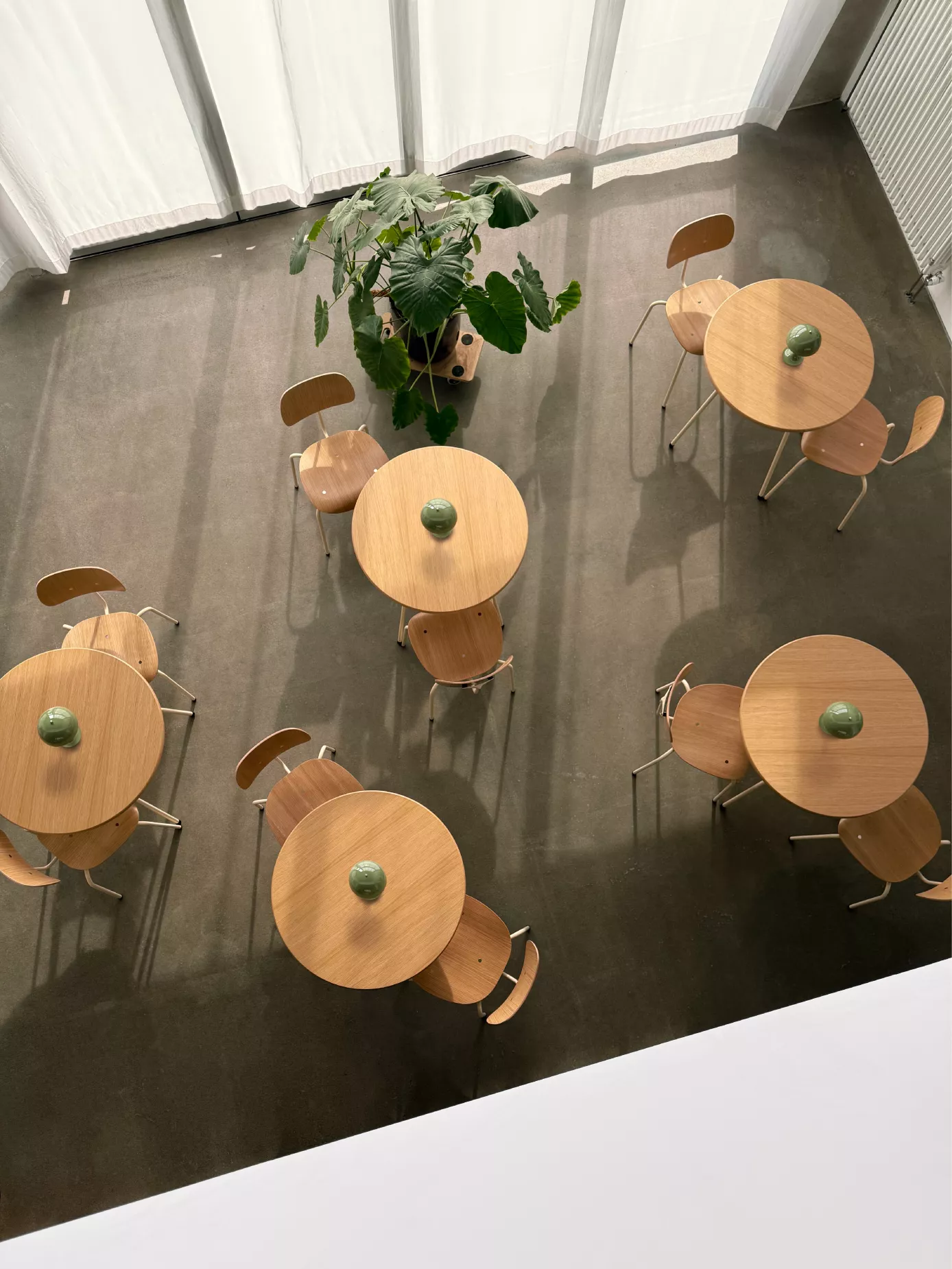 Top Shot of the Klub Maison Interior featuring the SE68 Multi Purpose Chair and the SE330 Coffee Table